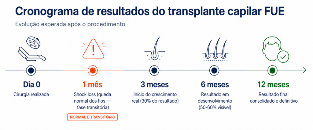 Cronograma de resultados do transplante capilar FUE: evolução mês a mês — Dr. Felipe Blanco